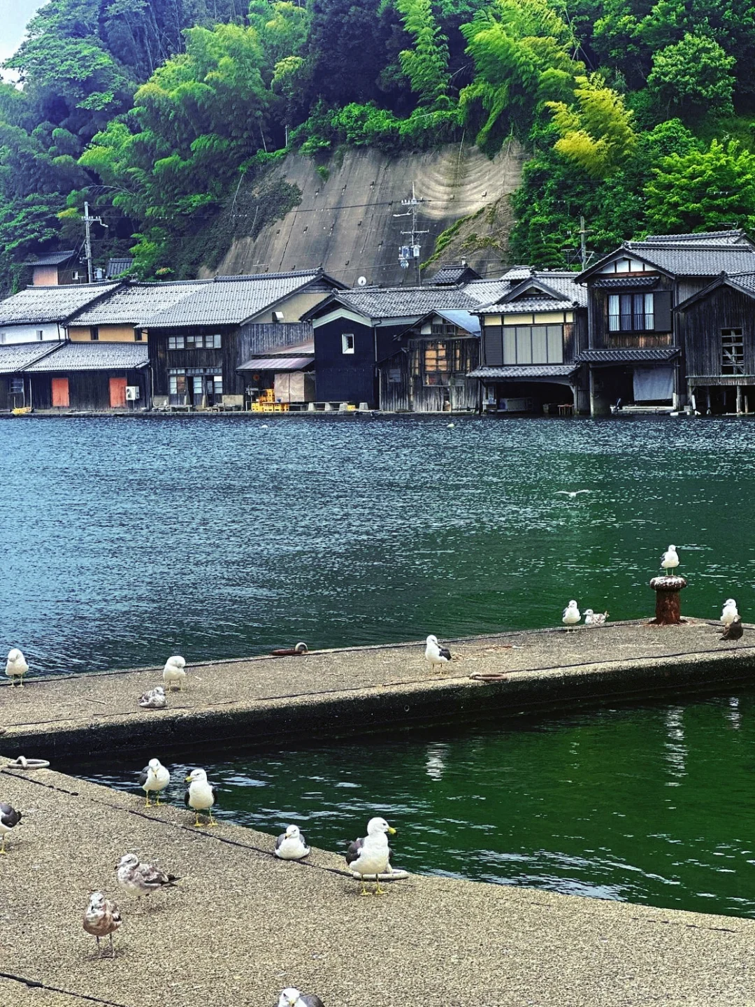 Oh? Kyoto Has This Hidden Gem?! Why Didn't Anyone Tell Me Sooner!