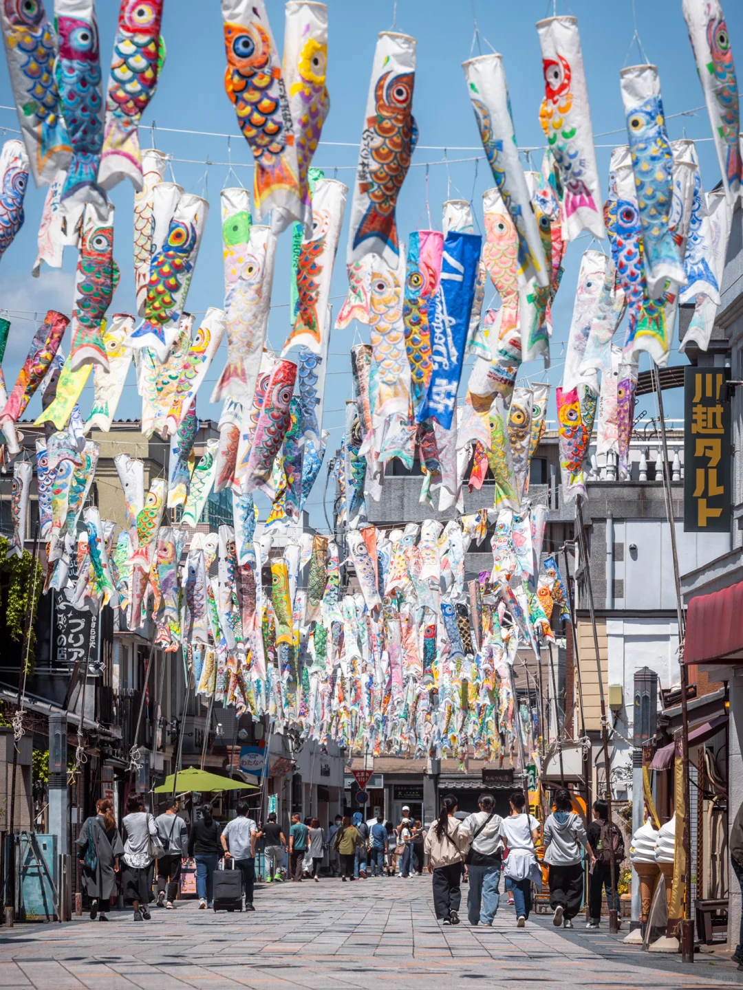 "The Blue Skies and Koi Carp of 『Taisho Romantic Dream Avenue』 🎏"