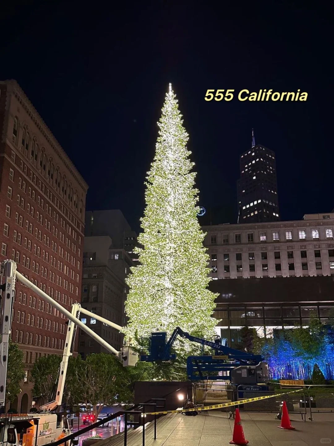 "Bay Area Holiday Vibes: Christmas Tree 🎄 Photo Spots—All Summarized for You!"