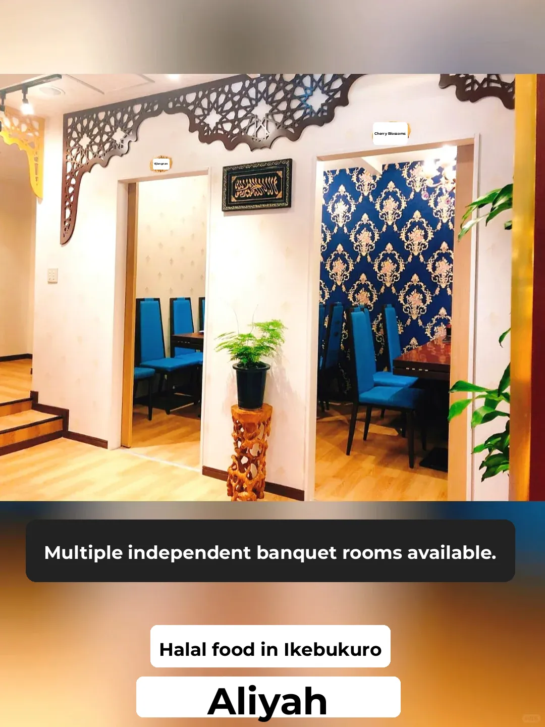 Restaurant Perfect for Banquets: Halal Cuisine at Aliya in Tokyo's Ikebukuro