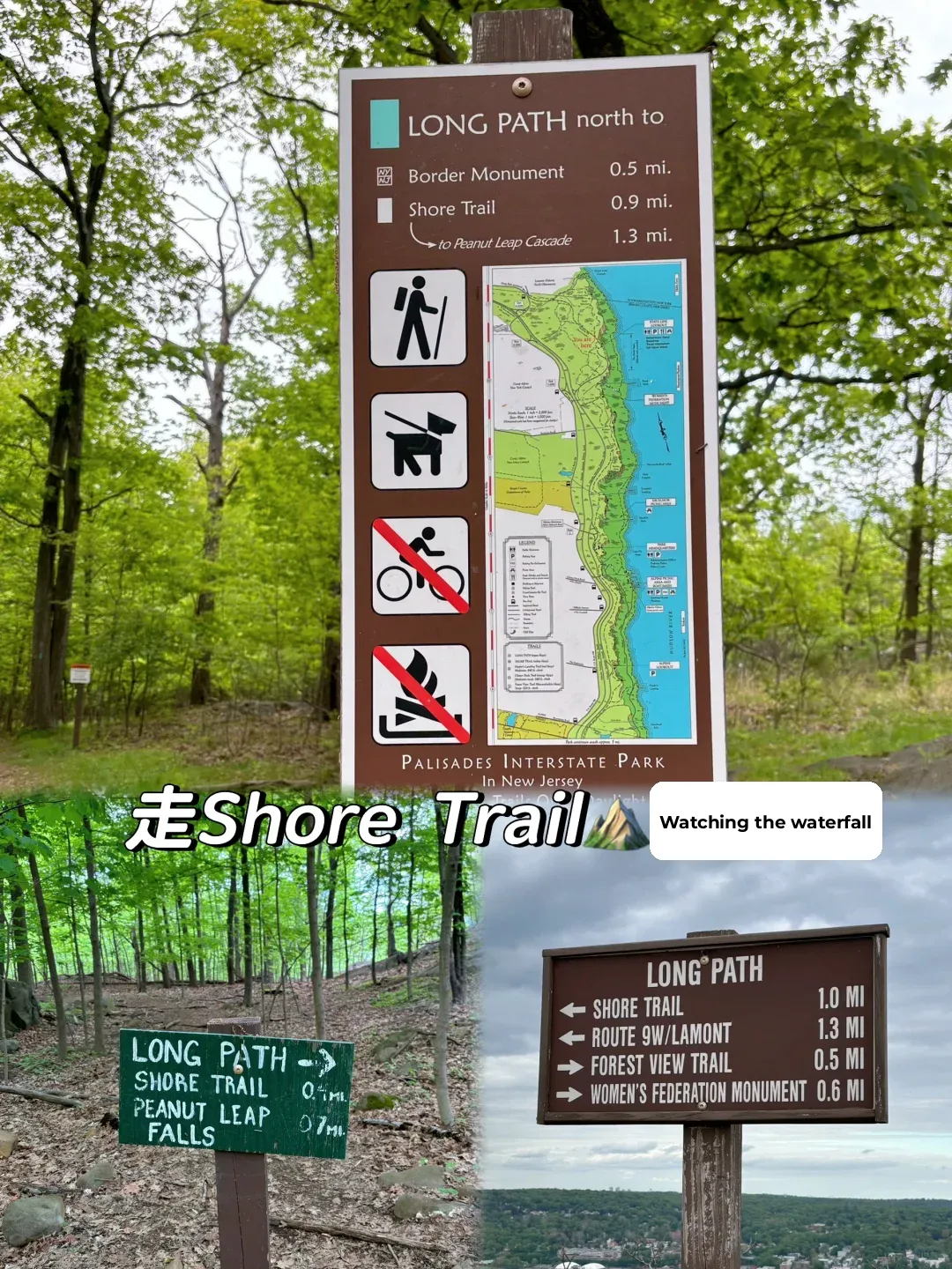 Hiking Spots Near New Jersey | Stunning River Views Trail ⛰️ Dog-Friendly
