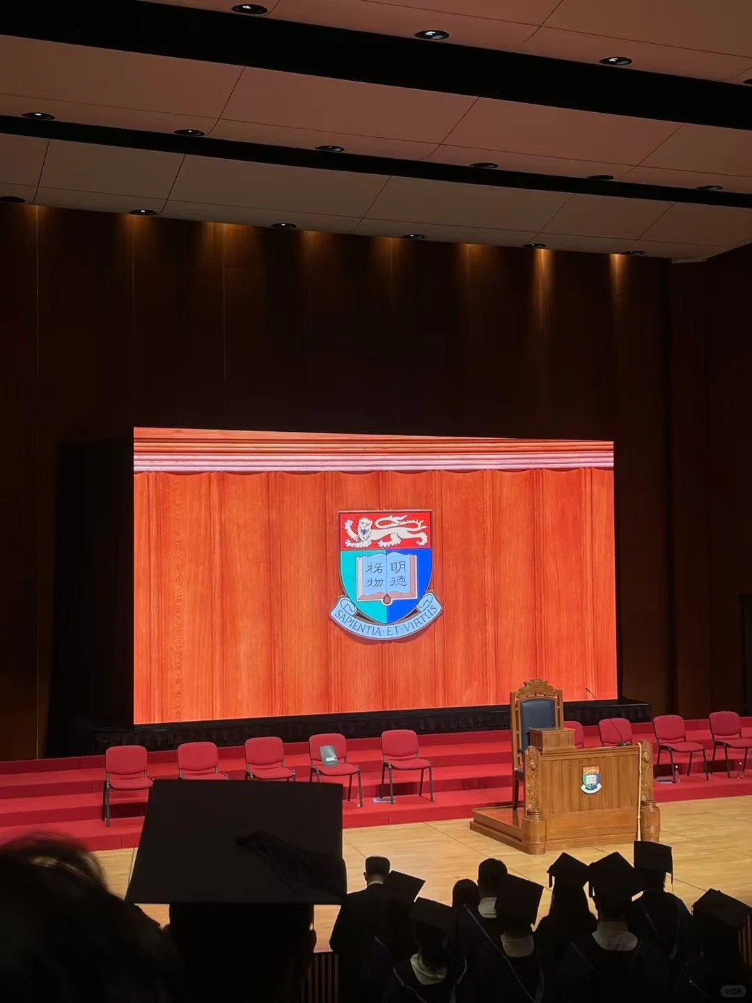 Pursuing a PhD in Psychology is Absolutely Worth It!