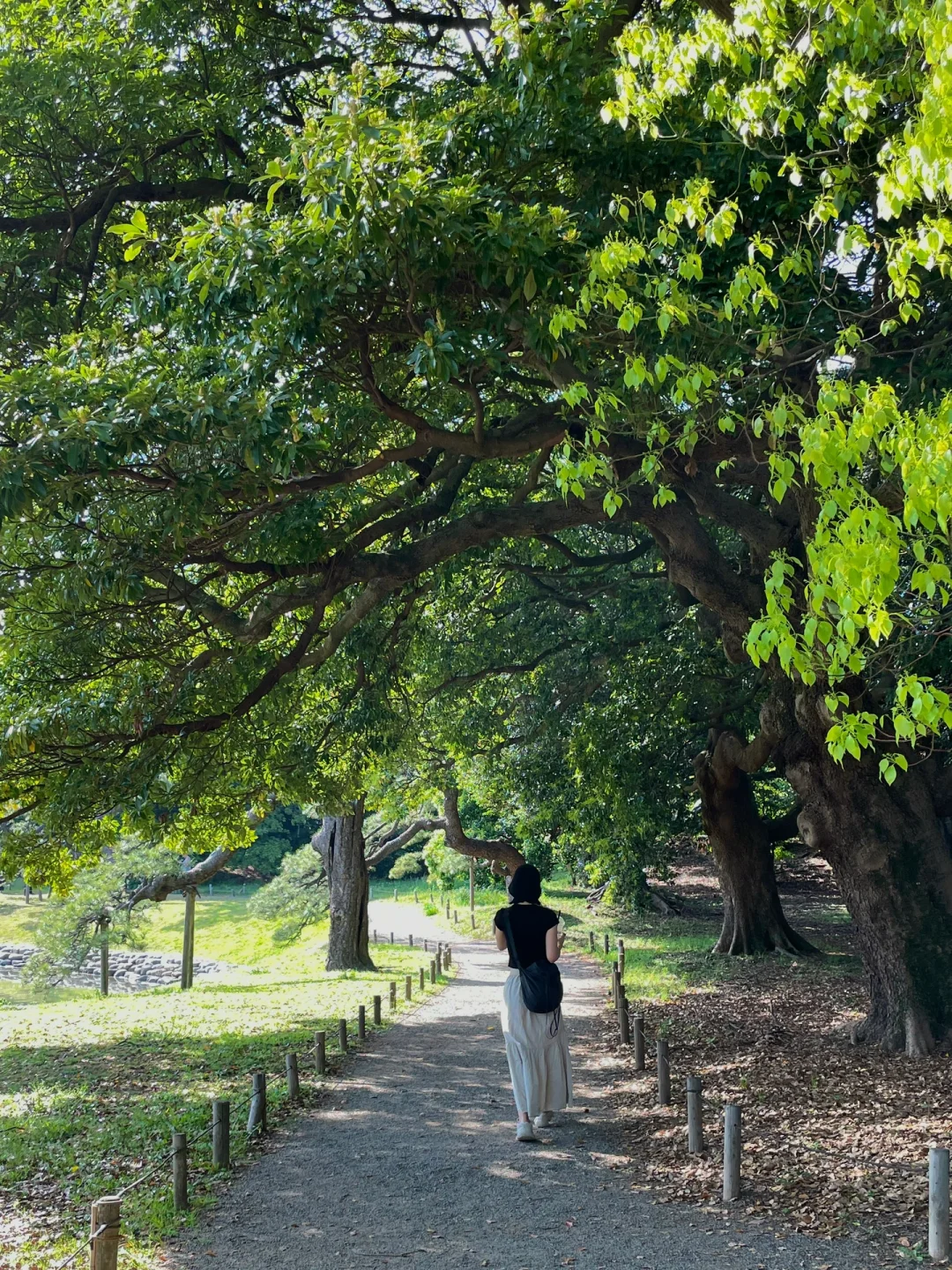 🇯🇵 Hidden Gem Parks | Tokyo's Natural Oasis 🌳