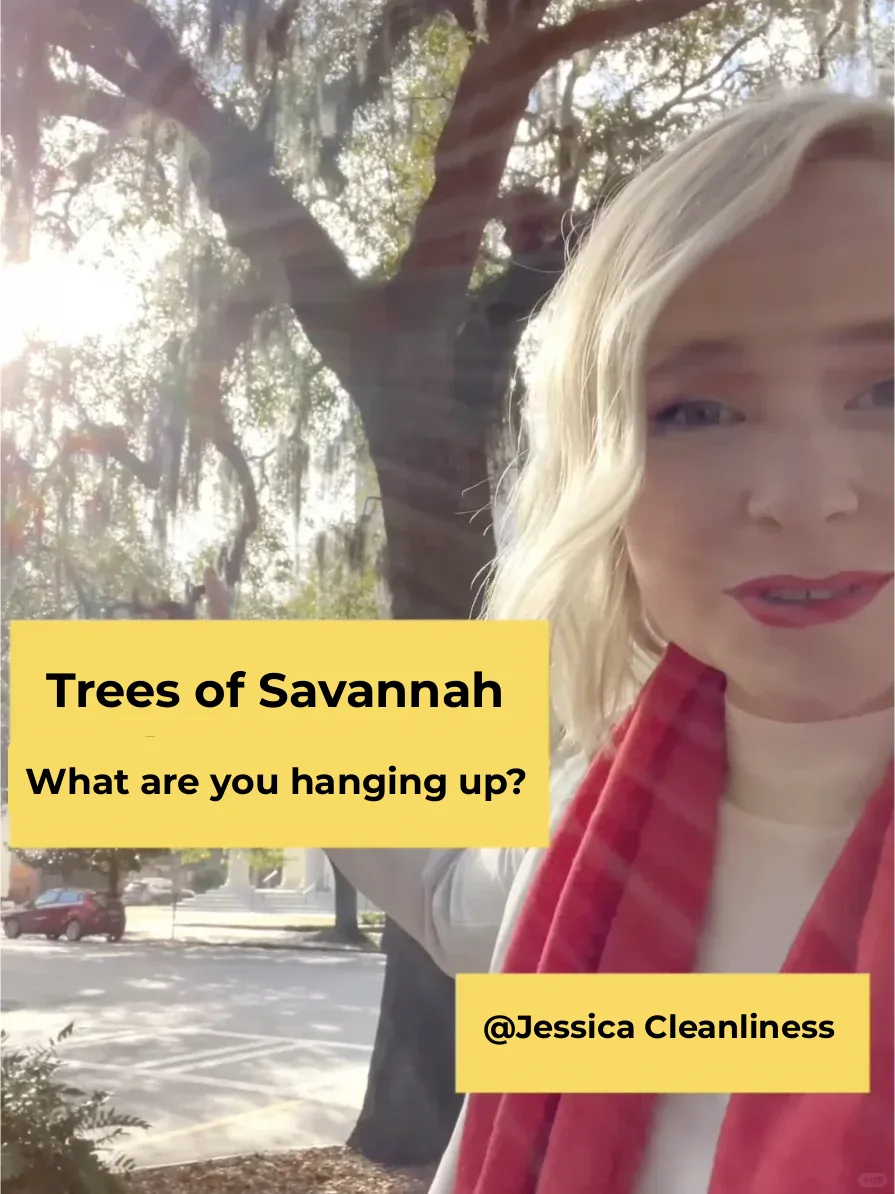 "What's Hanging from the Trees in Savannah?"