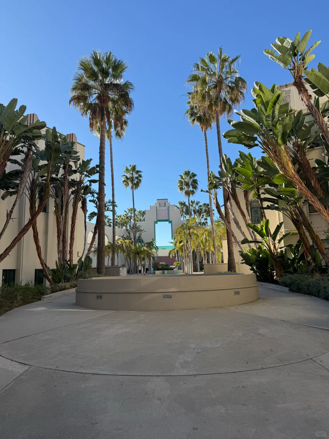 One-Day Trip to Beverly Hills in Los Angeles