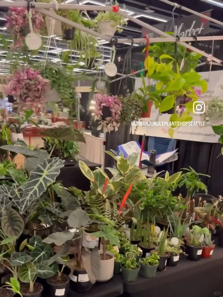 Seattle's Largest Flower and Garden Market