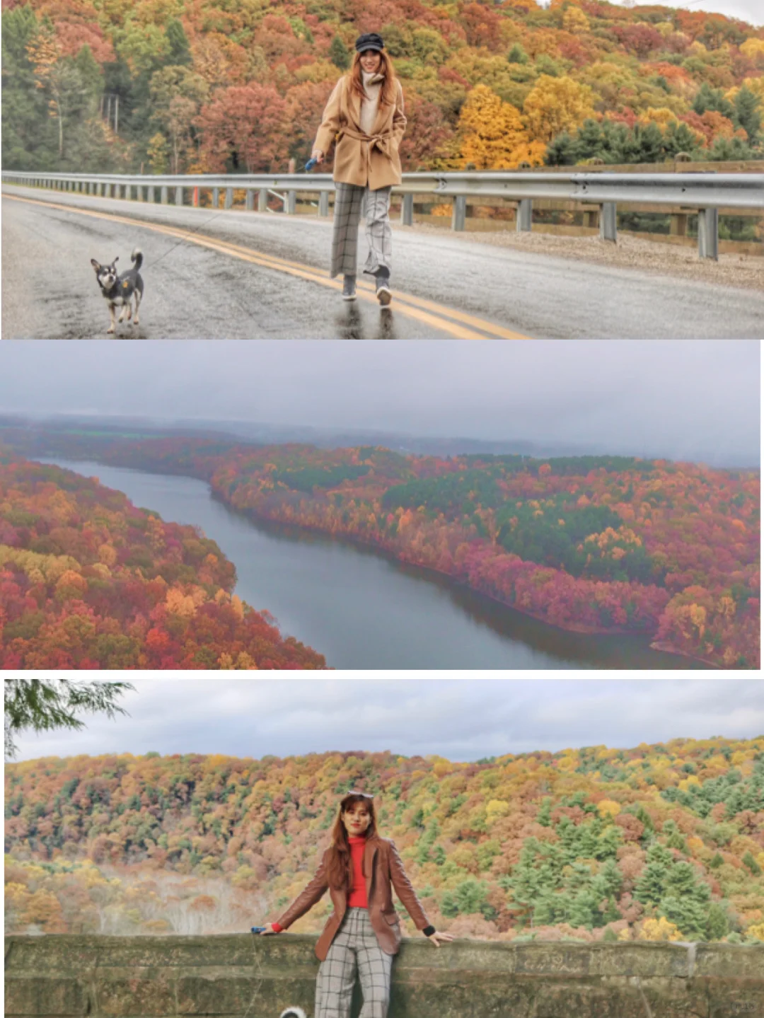 🇺🇸OH Ohio State Parks｜Top Spots for Fall Foliage Viewing 🍁