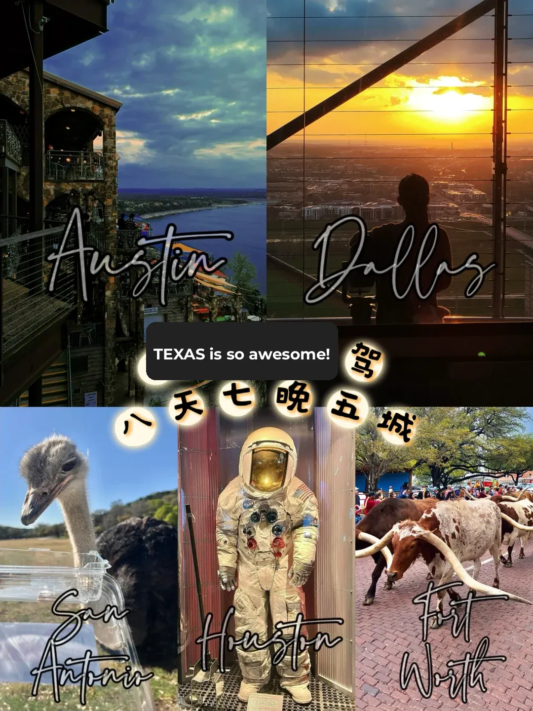 🍻 Texas Travel Guide PLOG | Booze & BBQ—Is There Any Other Way? ❓