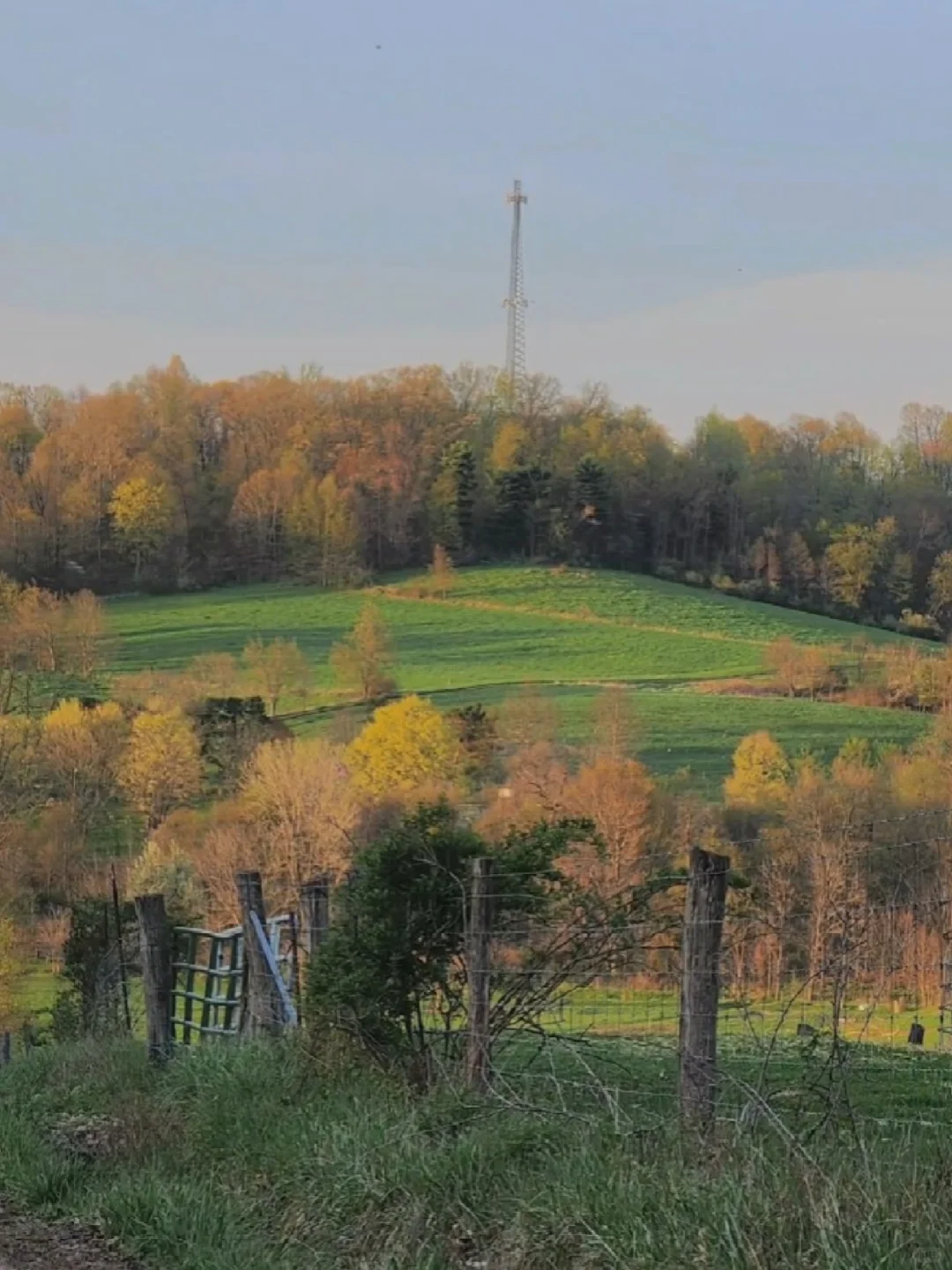 Scenes from My Home in Ohio