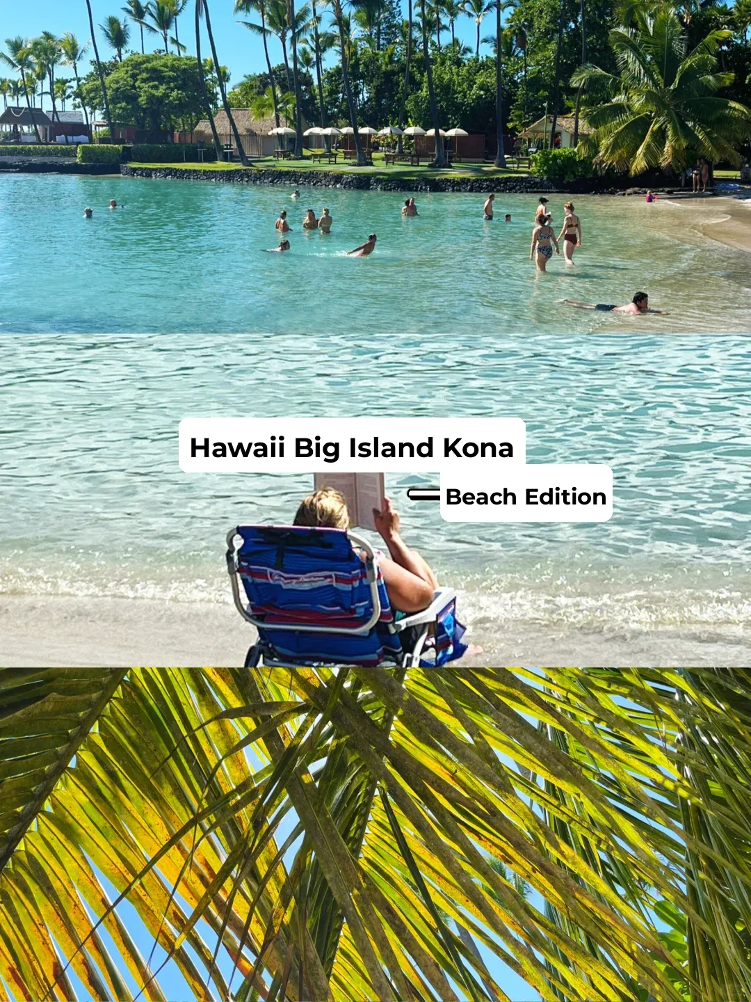 Hawaii's Big Island 🌴 Where You'll Meet the Seas of the World 🌊