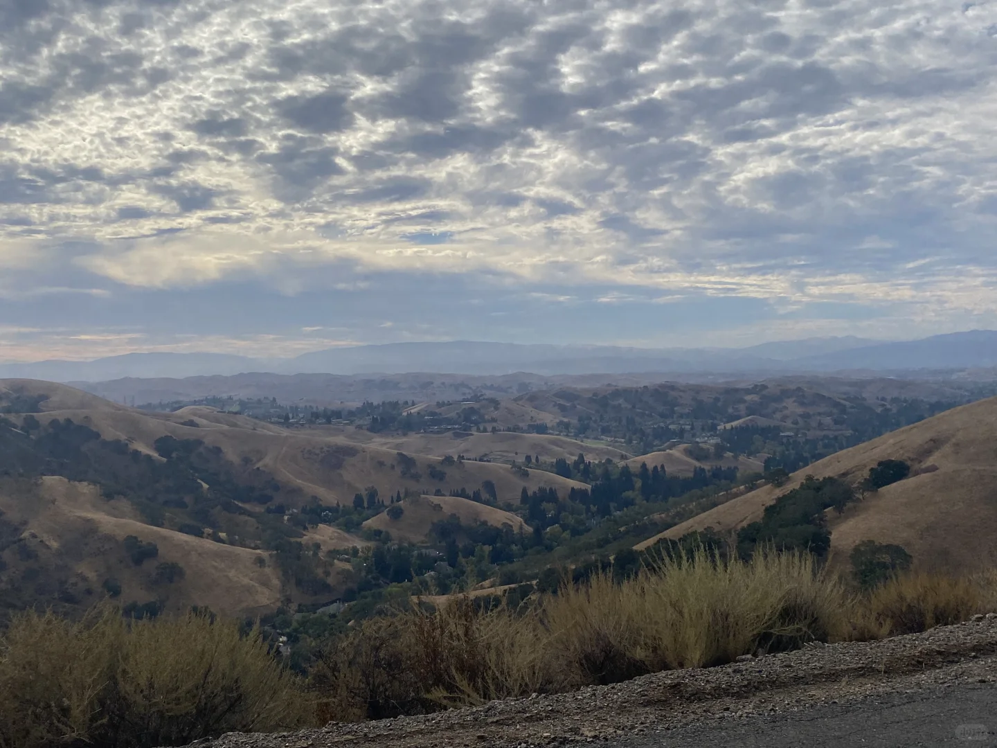 "Let's Meet Up for Food and Drinks in the Bay Area 🍷"