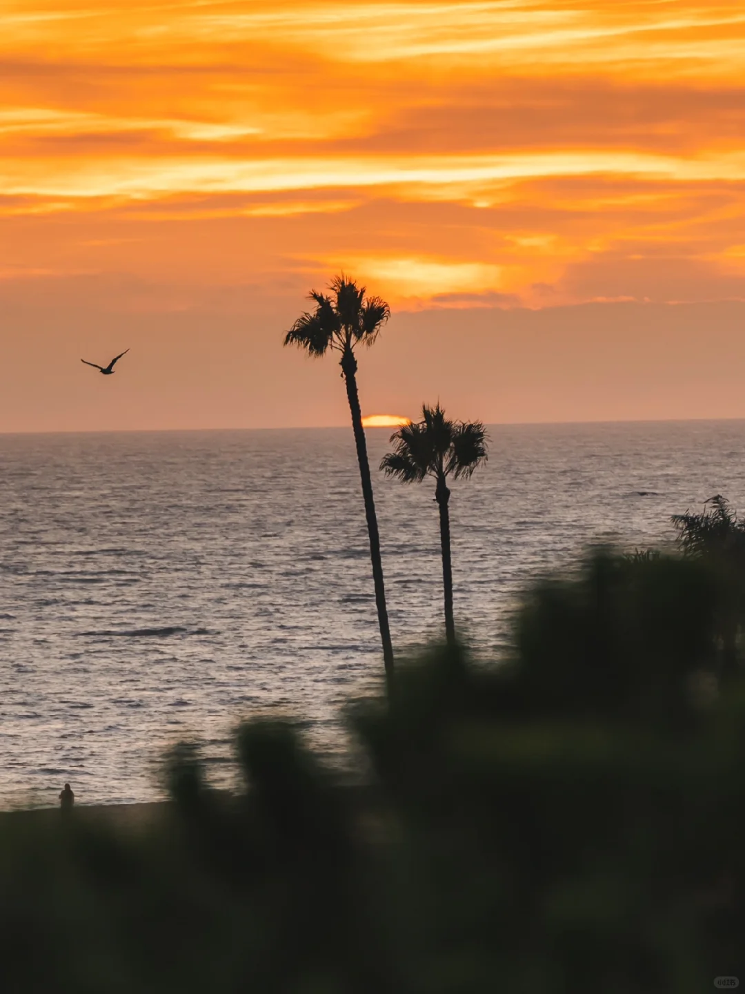 Irvine Gems | Found the Ultimate Spot for Ocean Views & Sunsets 🔆