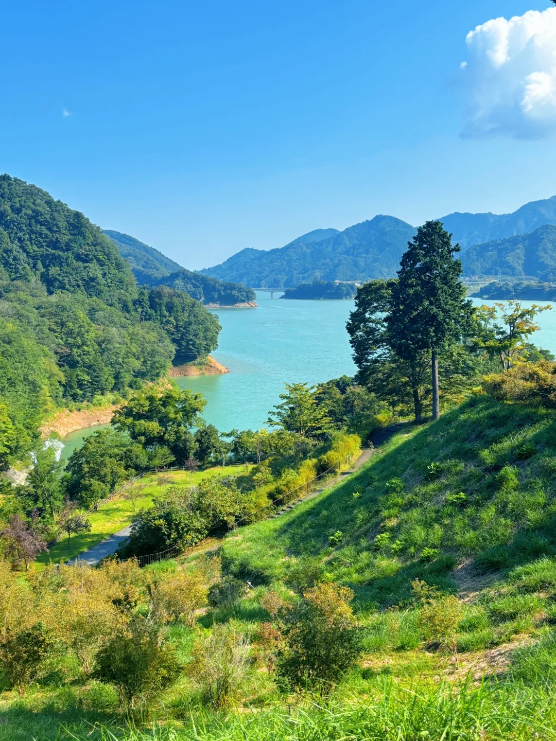 Who Knew Kanagawa Had Such an Awesome Spot!