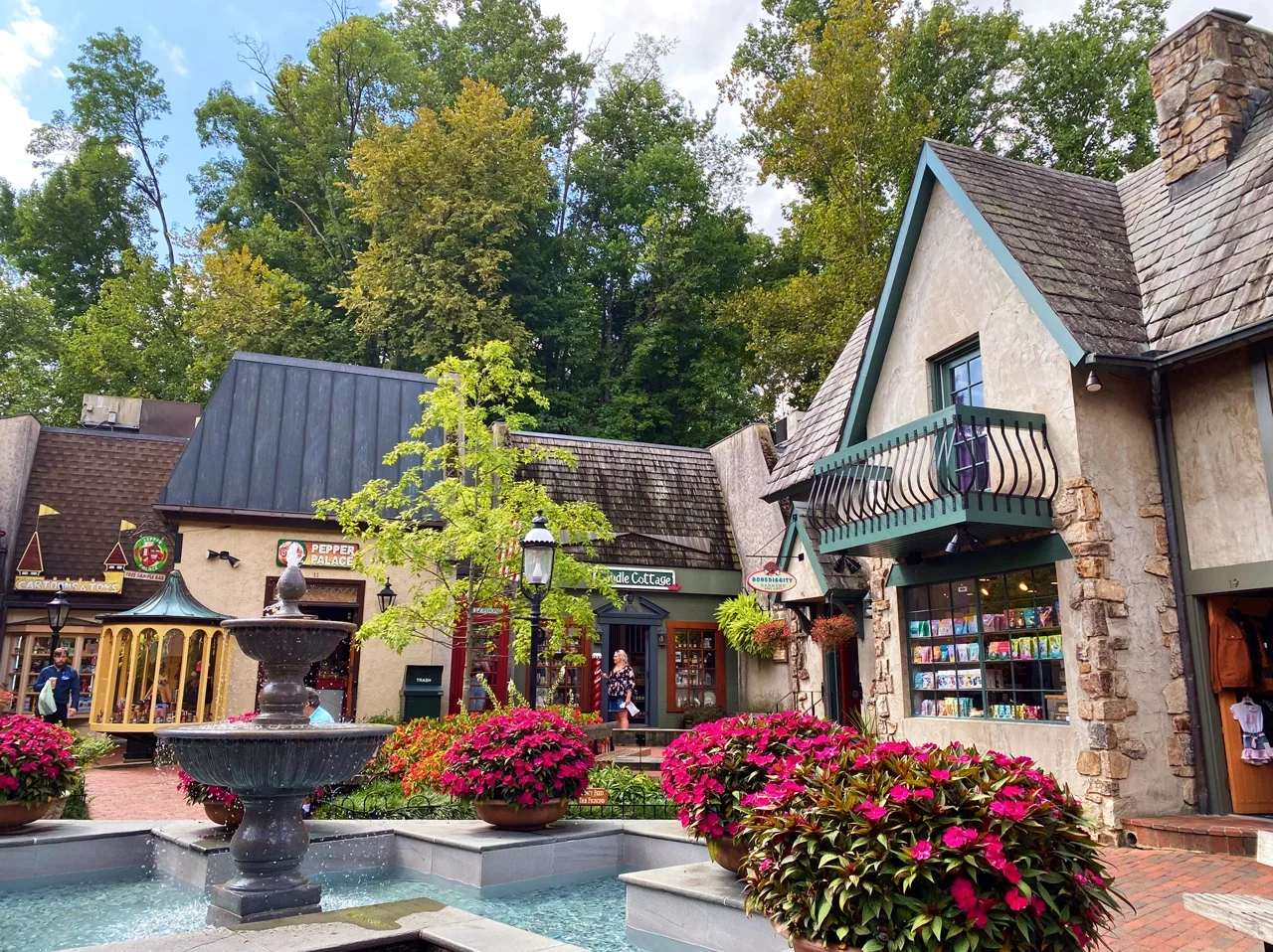 New York 🚗➡️ Great Smoky Mountains: 8 Days, 7 Nights Road Trip Part 3⃣️ Camping