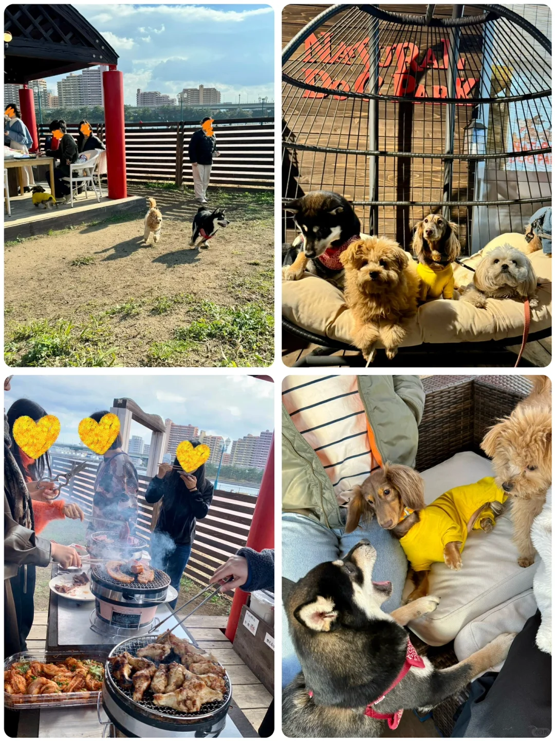The Ultimate BBQ Spot in Osaka for Dog Lovers!