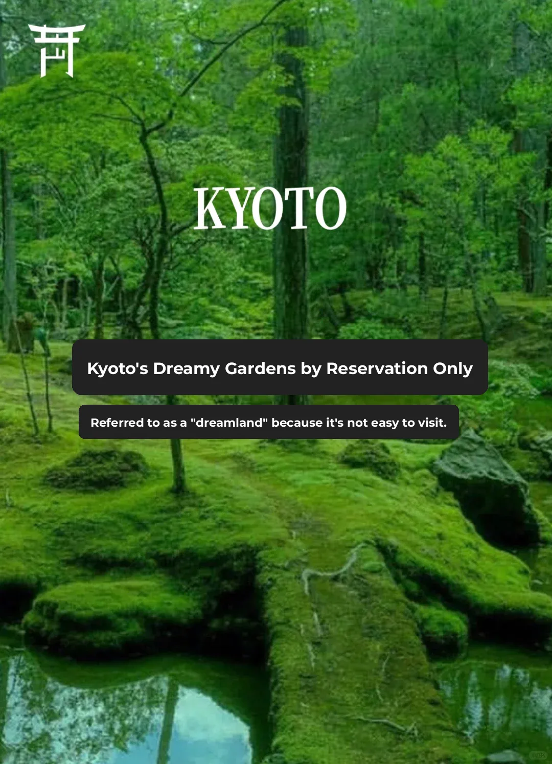 Top Must-Visit Dreamy Gardens in Kyoto