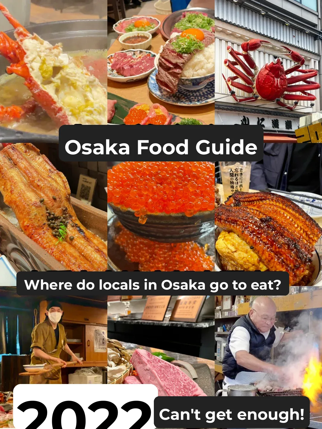 2022 Osaka Food Roundup ❗️ The Ones You Can't Get Enough Of 🌼