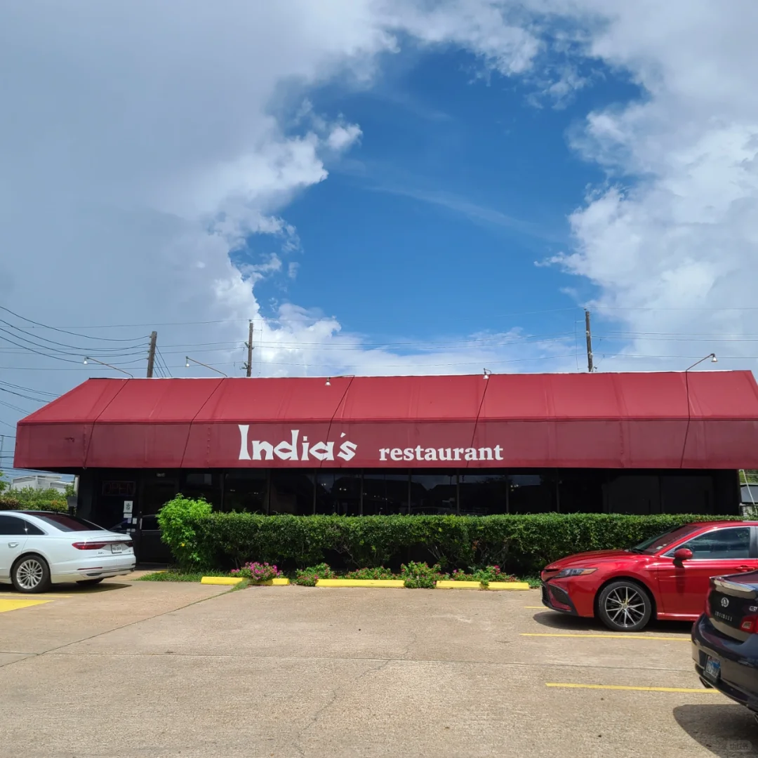 Houston Food Adventure | India's Restaurant – A Taste of Authentic Indian Buffet
