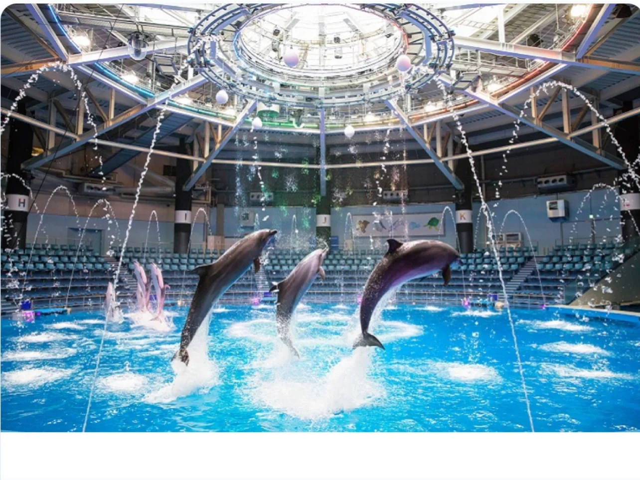 Aqua Park Shinjuku: Highly Recommended Aquarium Experience
