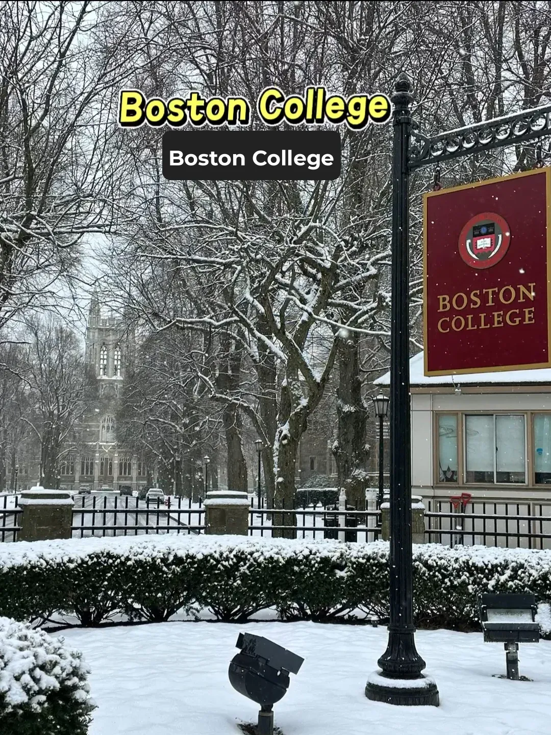 Boston College