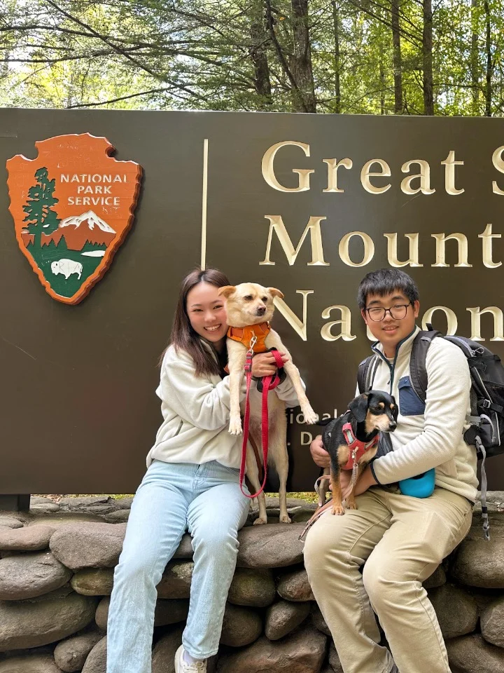 Shocking: Escaping a Bear Attack While Admiring Fall Foliage with My Dog in the Great Smoky Mountains