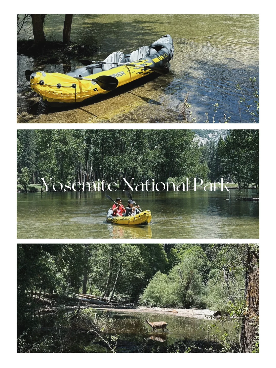 Yosemite National Park – Day 2