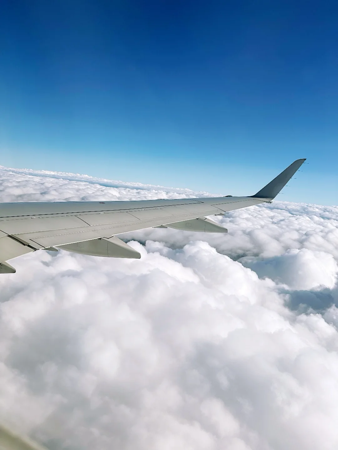 Where to Stay and What to Eat in Memphis, the Mid-South City