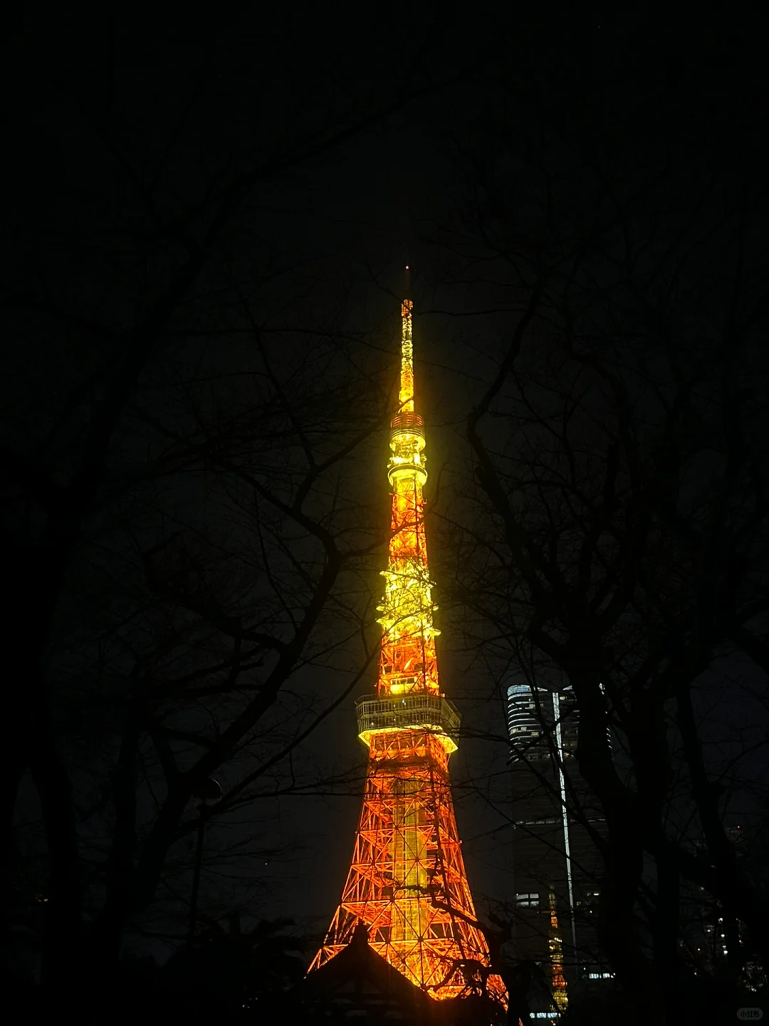 Experience the Magic of "Frozen" with Tokyo's Four Seasons Theatre – A Heavenly Adventure