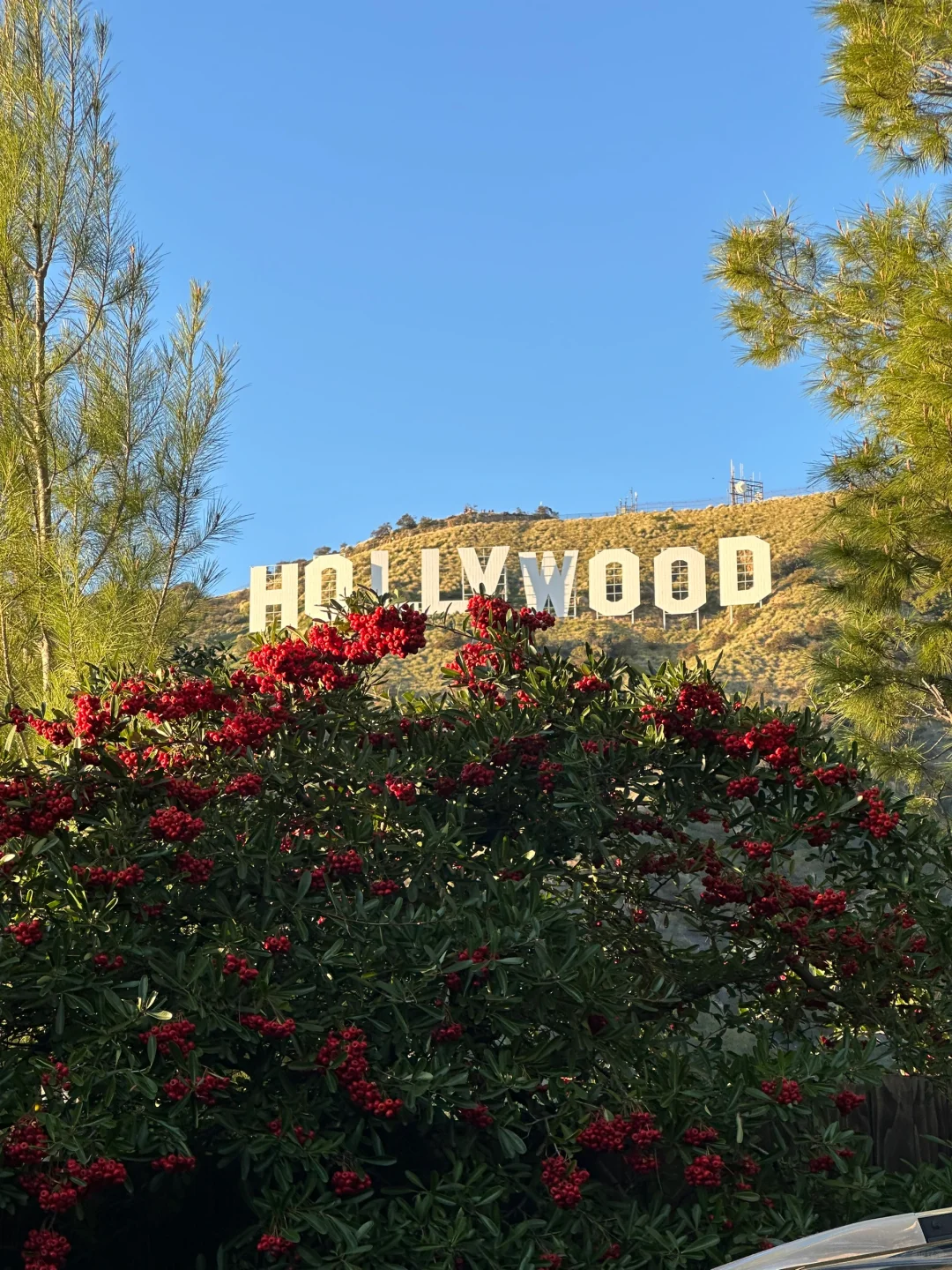 LA Landmarks | Pro Traveler's Guide: One Day to Hit Hollywood and Beverly Hills