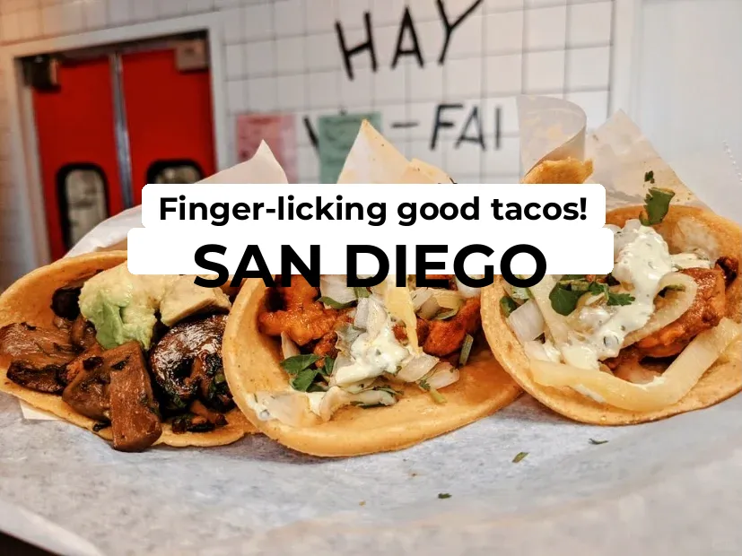 San Diego Food Adventure: Generous and Delicious TACO