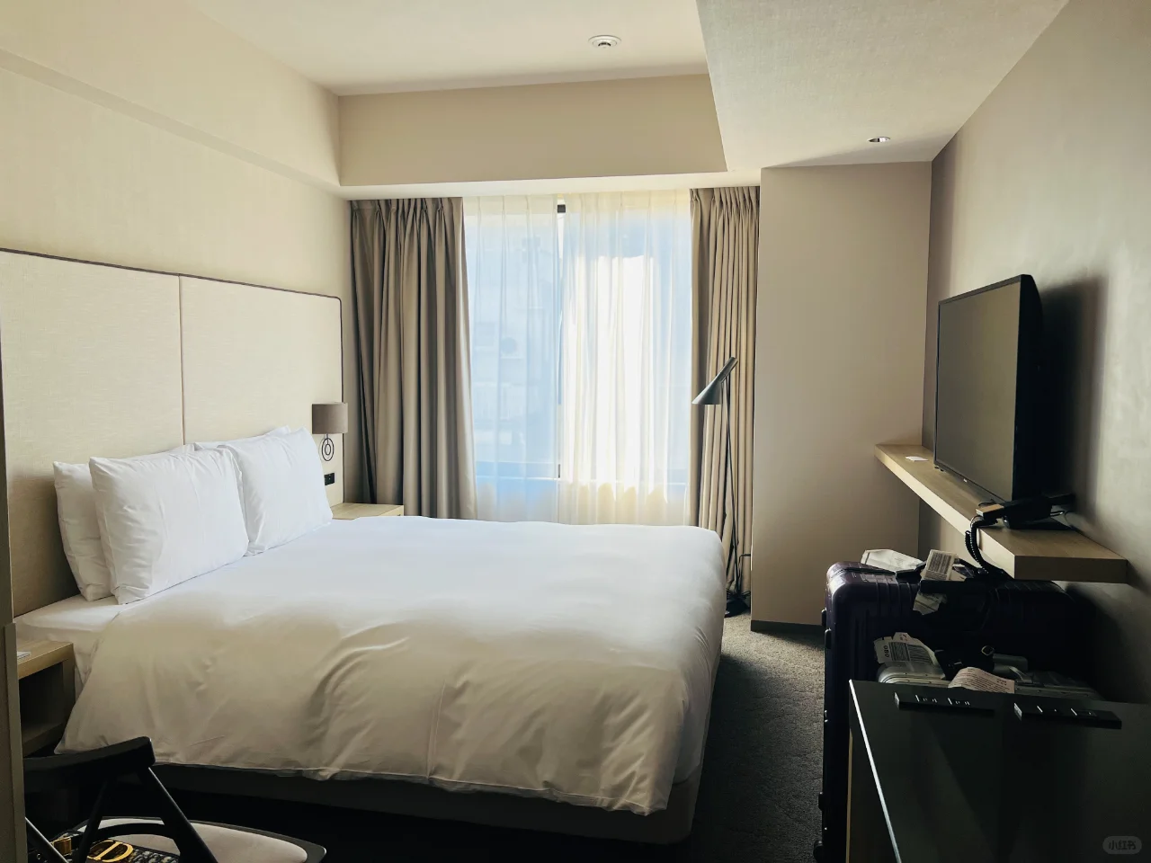 Dropping a review on my most satisfying stay in Tokyo hotels