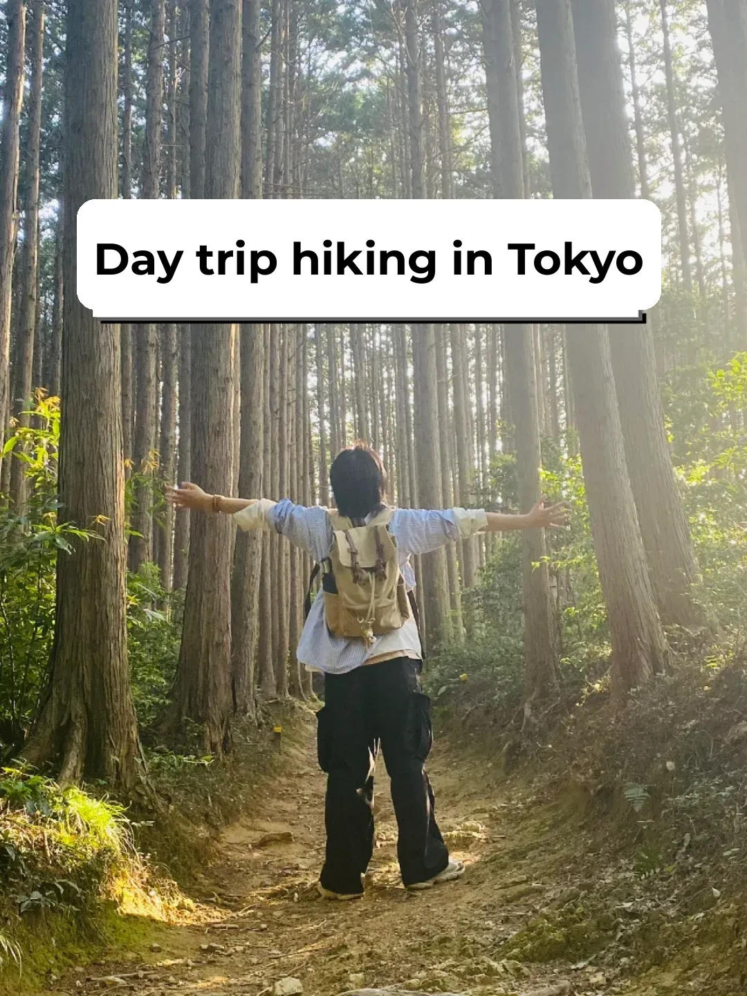 🇯🇵 One-Day Triple Peak Hike in Japan