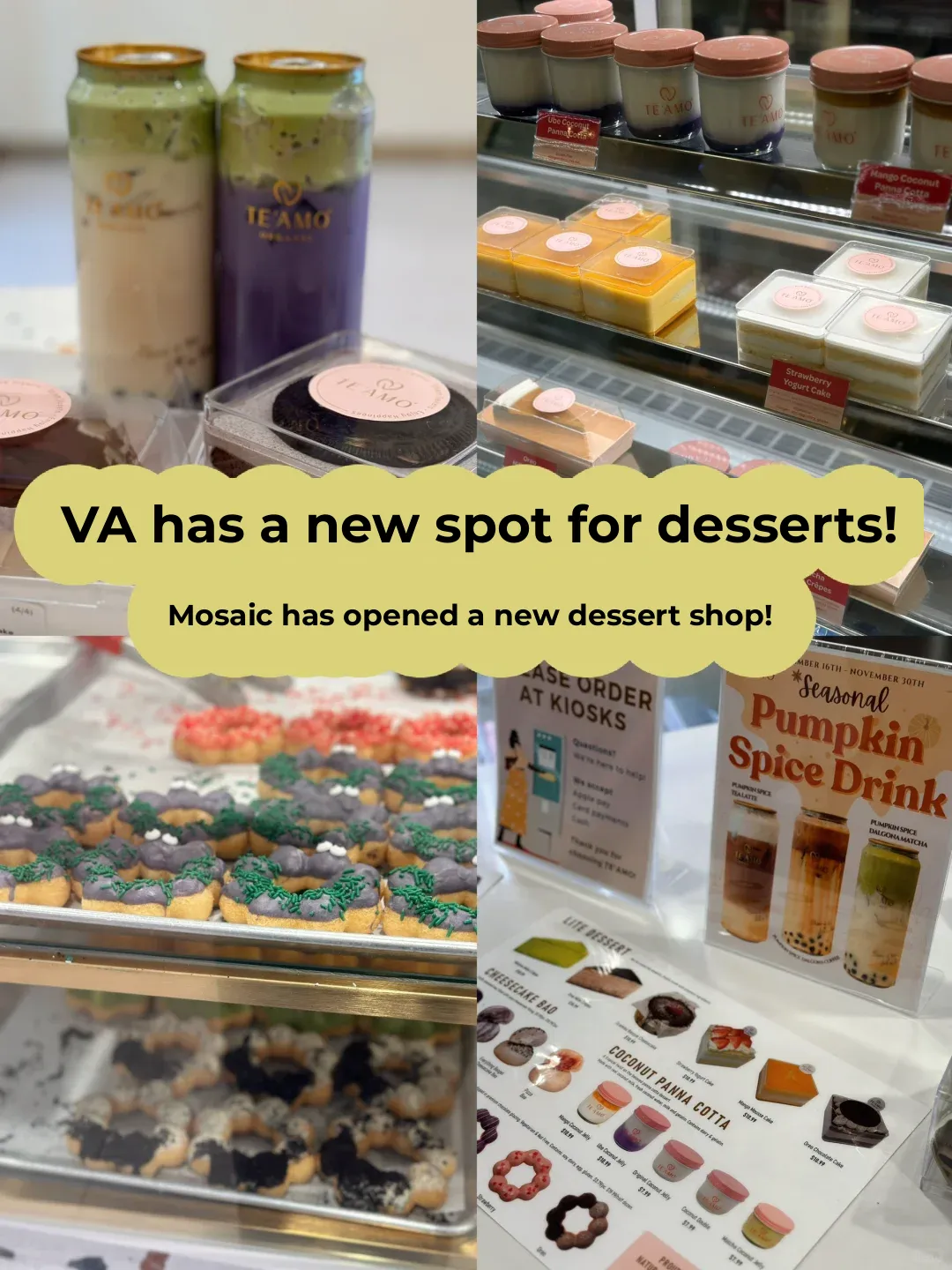 New Dessert Spot Alert in VA! | Recently Opened Dessert Shop at Mosaic