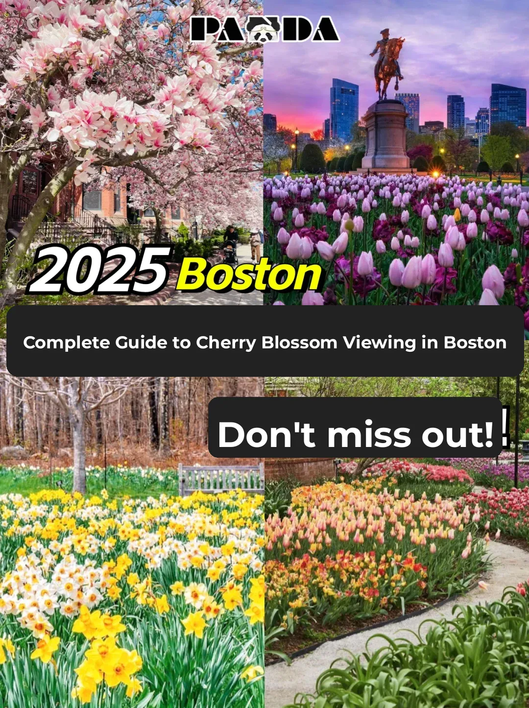 Best Free Flower Viewing Spots in Boston—All Right Here!