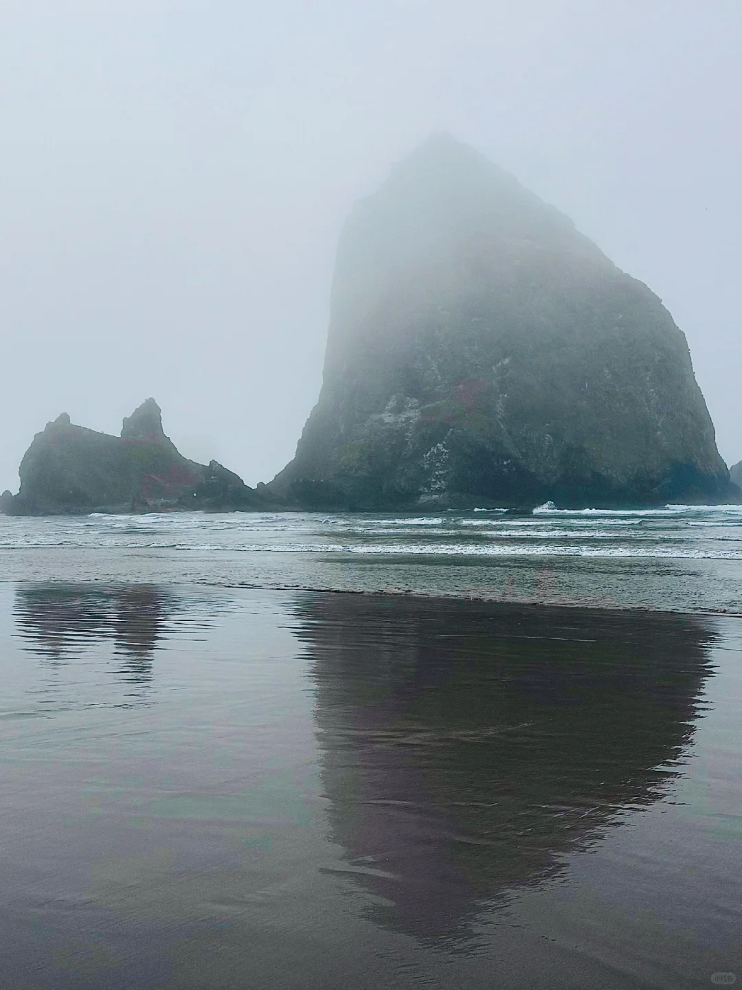 Misty Forest Vibes in Portland