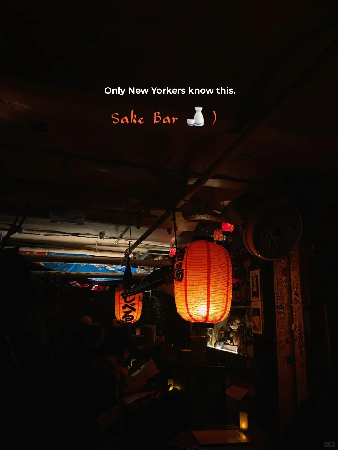 NYC Insiders' Secret: Top 3 Underground Sake Bars!