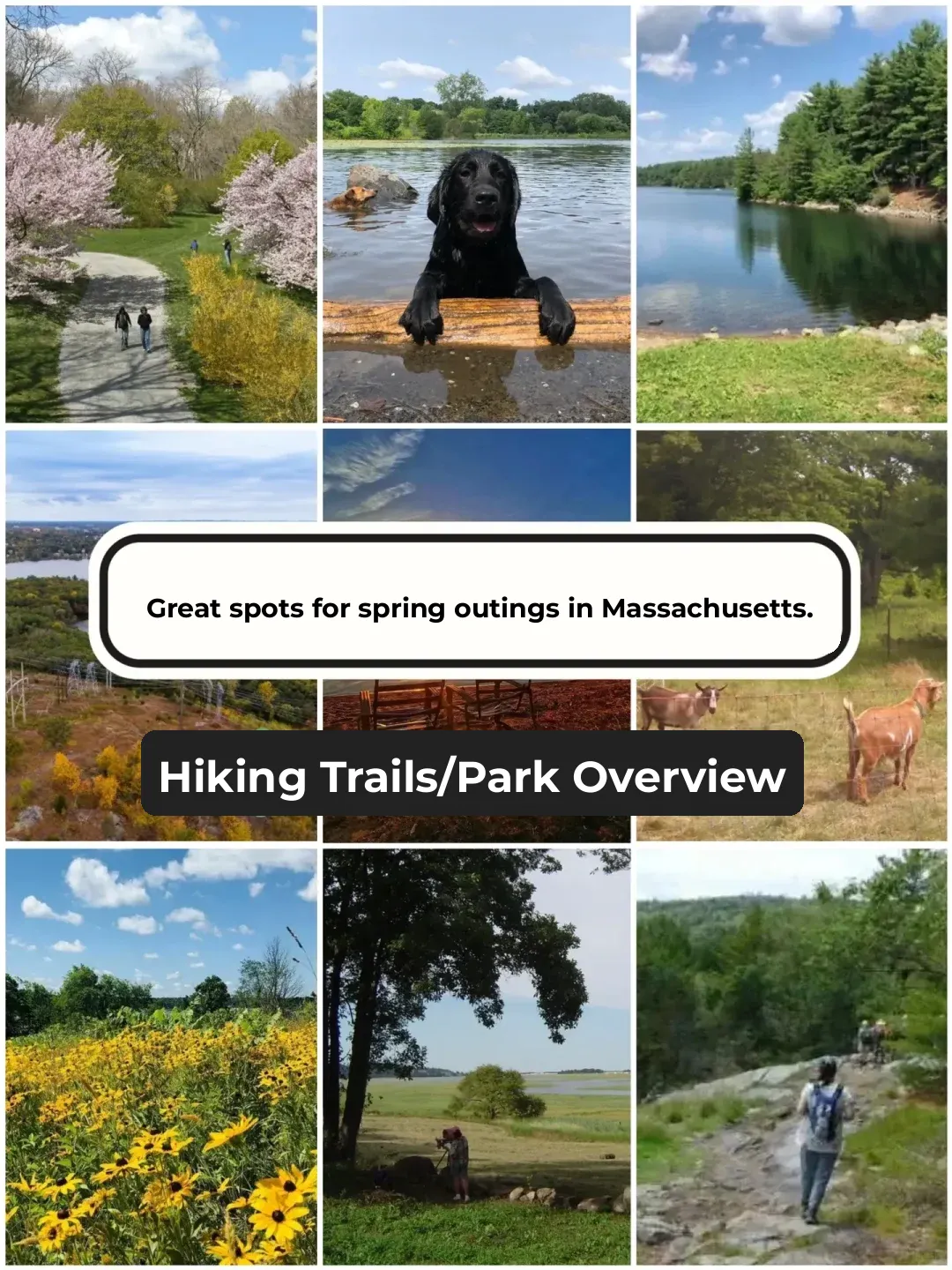 Top Spring Hiking Spots in Greater Boston/Massachusetts 🌿 Ultimate Showdown 👏