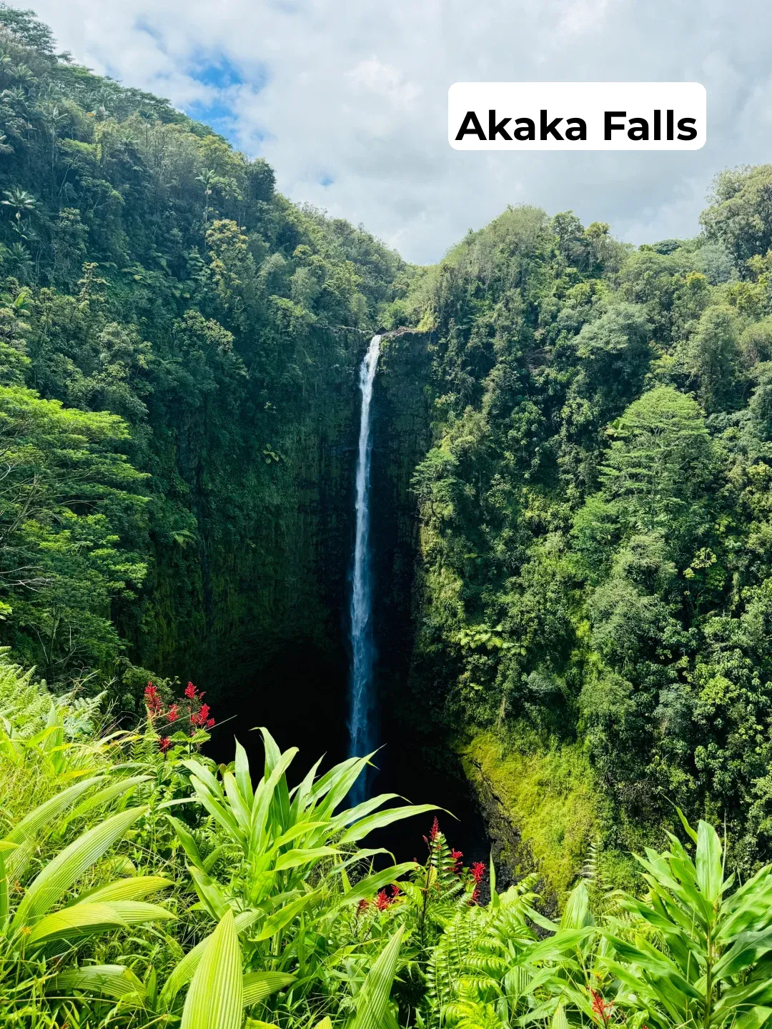 Accidentally Stumbled Upon a Nude Beach in Hilo, Hawaii's Big Island