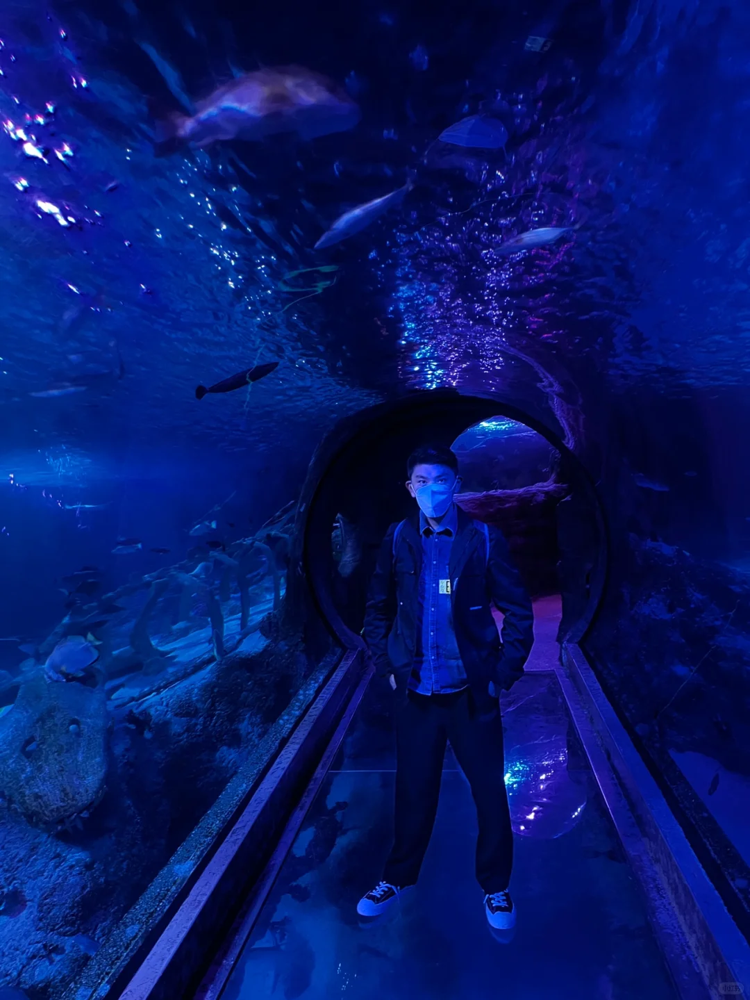 Downtown Grapevine, Texas