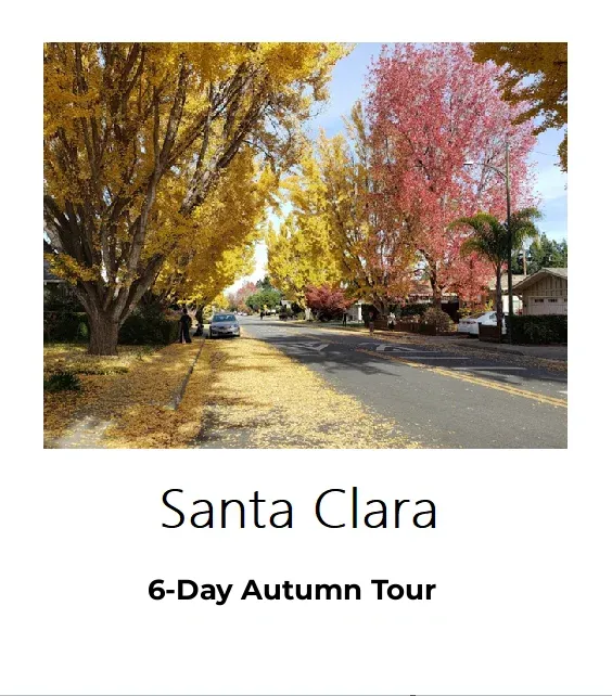 Santa Clara Highway 101 Fall Foliage Road Trip - Calling All Adventurers