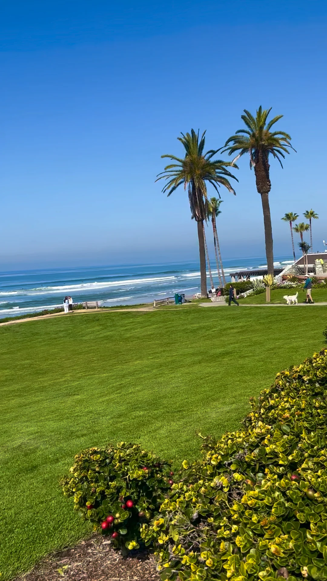 I Saw the Most Stunning Beach Park in San Diego, California 🇺🇸