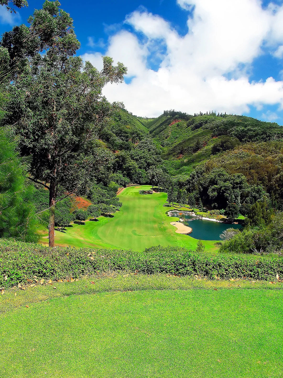 � Bookmark｜Top Golf Course Picks on Hawaii’s Big Island
