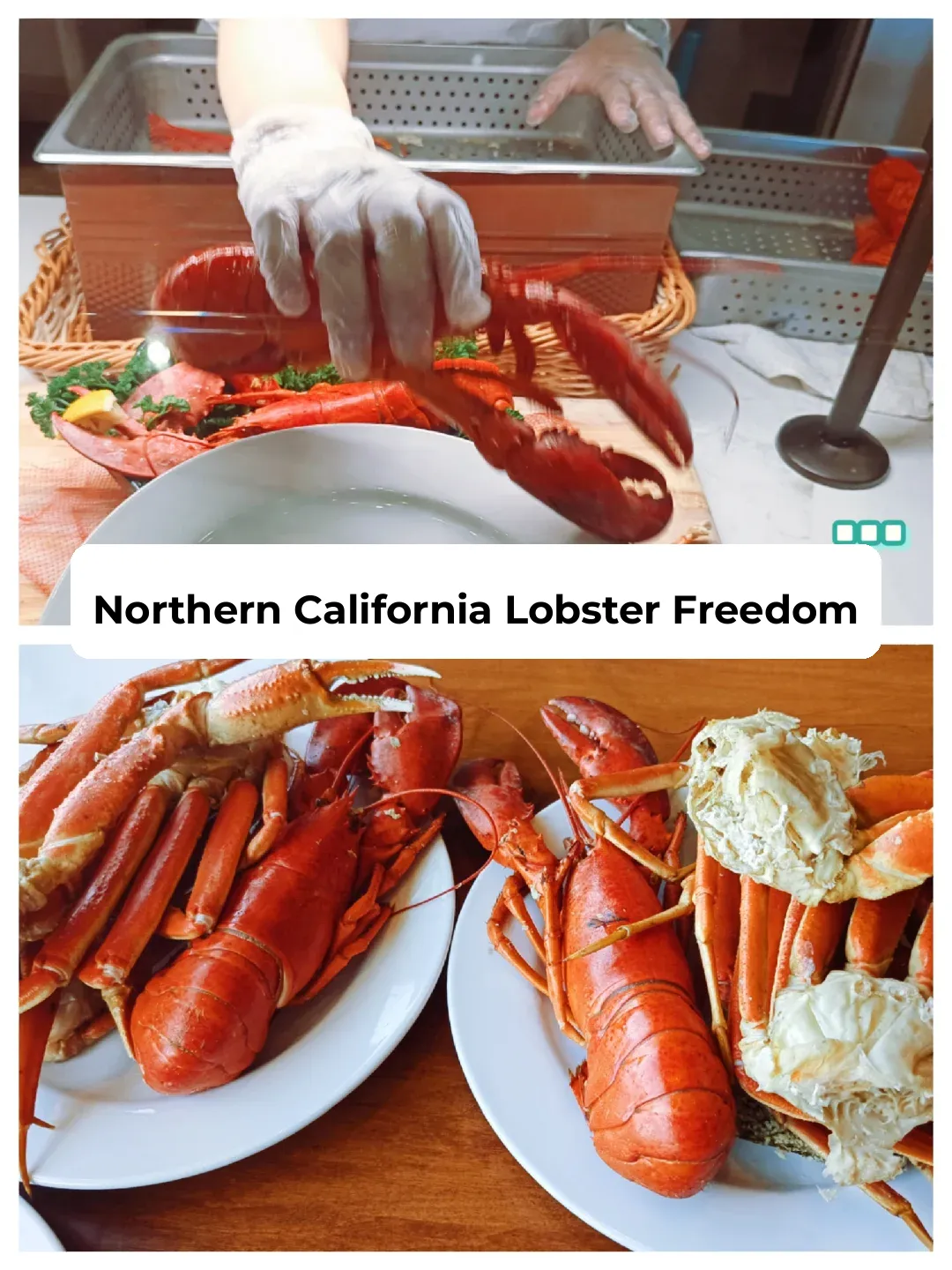 Lobster Bliss 🦞 | The Ultimate Casino Getaway for Non-Stop Fun, Food, and Games