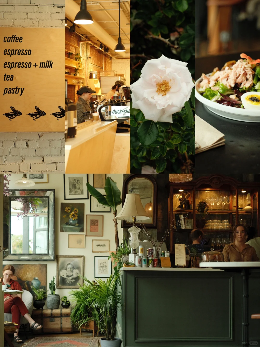 Cleveland | Weekend Cafe Hopping PLOG 📸