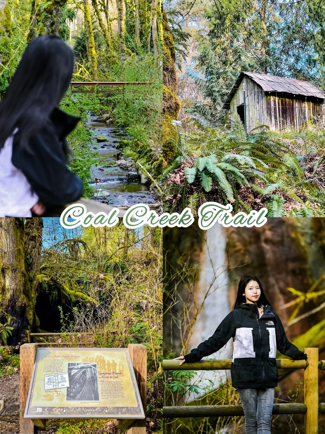 🇺🇸 Seattle | Hiking Forest Trails 🌲 Visiting Coal Mine Falls