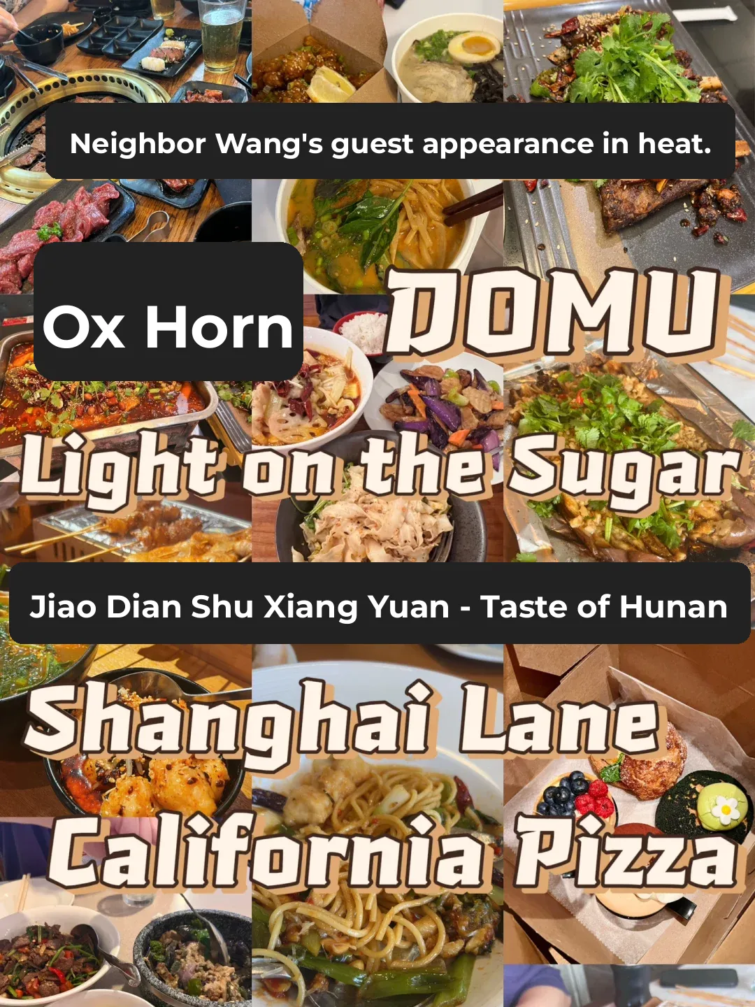 One Month of Orlando Eats: BBQ, Sichuan Cuisine, Grilled Meats, Desserts, and Ramen Roundup