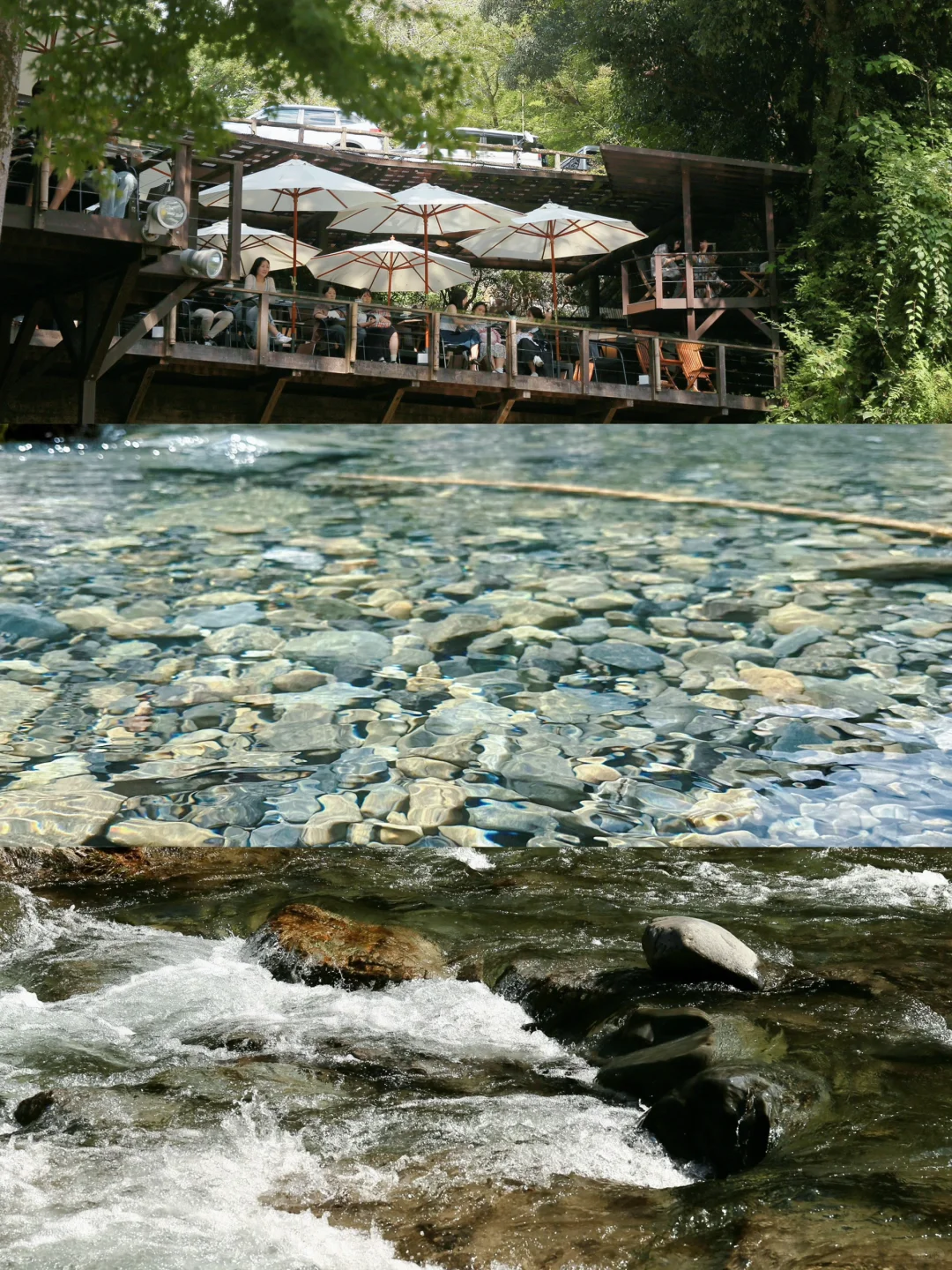 Tokyo Suburbs: A 300-Year-Old Tea House