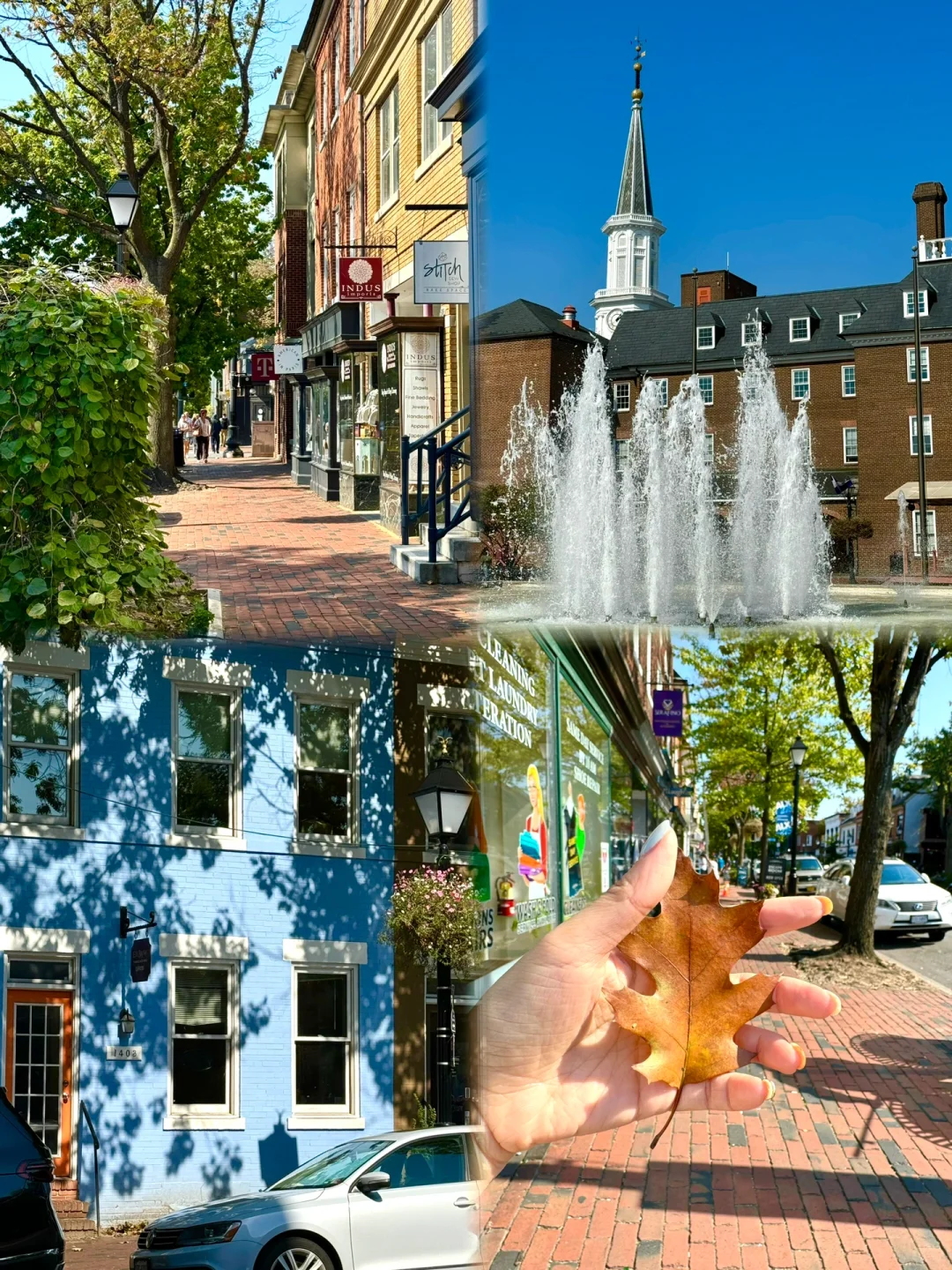 🇺🇸DMV | The Stunning Town of Alexandria Covered in Fallen Leaves
