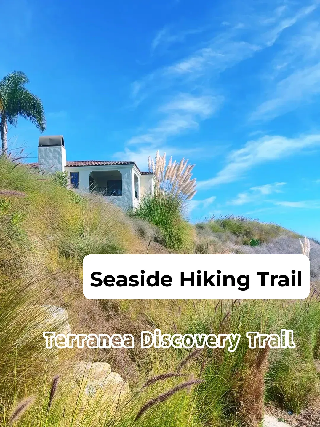 LA Weekend｜Ultra-Soothing Ocean View Hike｜Kid-Friendly Guide