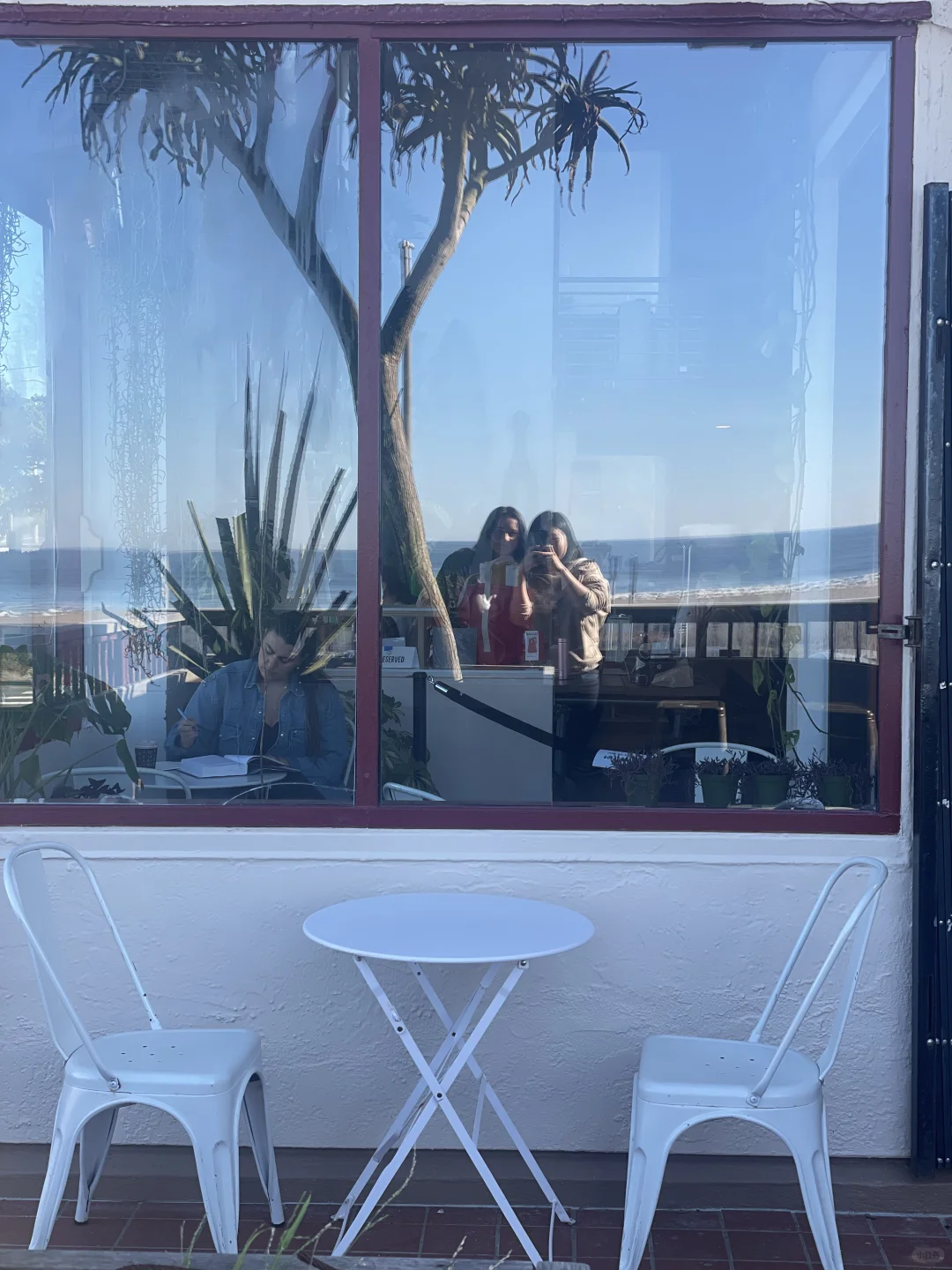 San Francisco｜Spending Finals Week at a Seaside Café ☕️